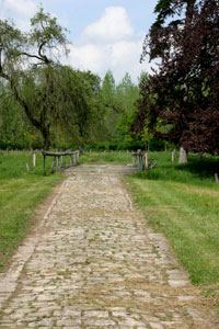 Ch&acirc;teau de Gerb&eacute;viller