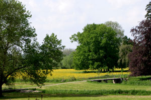 Ch&acirc;teau de Gerb&eacute;viller