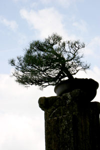 Ch&acirc;teau de Gerb&eacute;viller