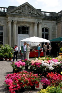 Ch&acirc;teau de Gerb&eacute;viller