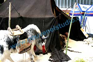Foire Internationale de Nancy