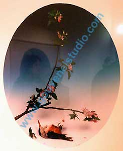 Photographie Contemporaine Chinoise