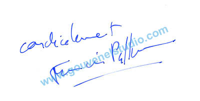 Francis Palluau
