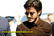 Dermot Mulroney  