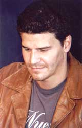 David Boreanaz