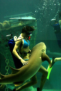 Aquarium