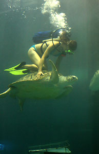 Aquarium