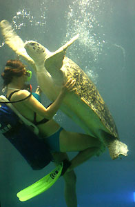 Aquarium