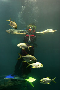 Aquarium