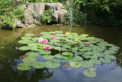 Jardin Botanique Nancy