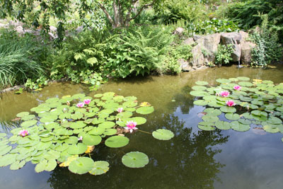 Jardin Botanique Nancy