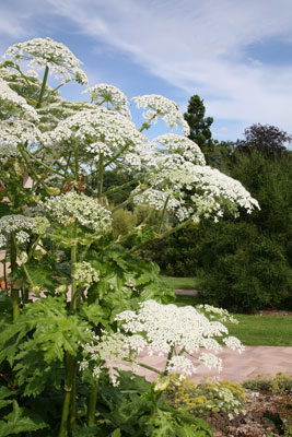 Jardin Botanique Nancy