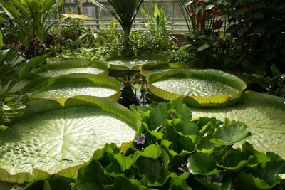 Jardin Botanique Nancy