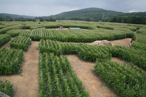 Le Labyrinthe
