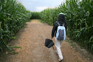 Le Labyrinthe