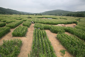 Le Labyrinthe