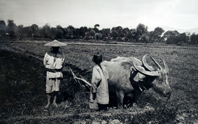 Exposition Auguste Fran&ccedil;ois