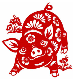 Ann&eacute;e du Cochon 2019