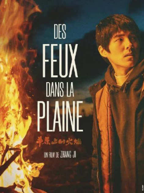 Des Feux Dans la Plaine