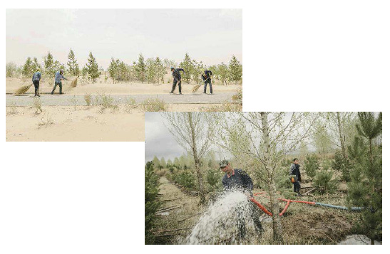 Guerre du d&eacute;sert