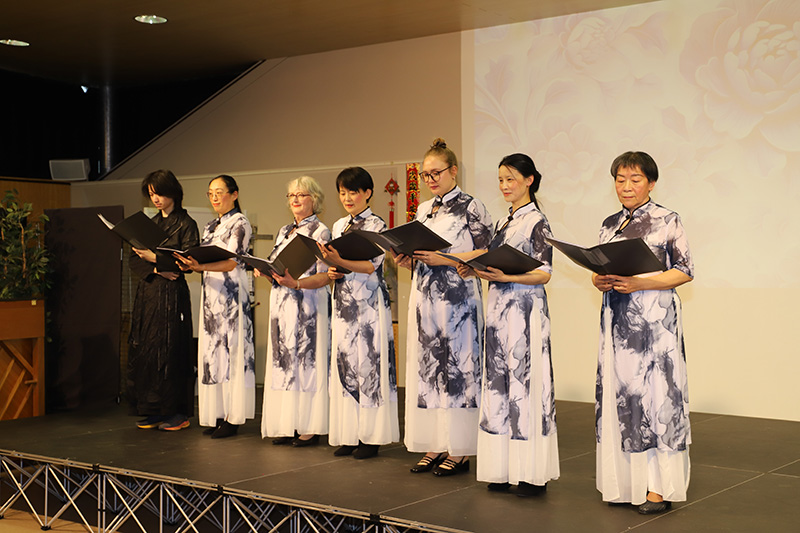 Nouvel An Chinois 2025 Spectacle