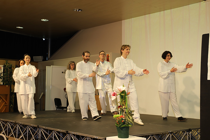 Nouvel An Chinois 2025 Spectacle