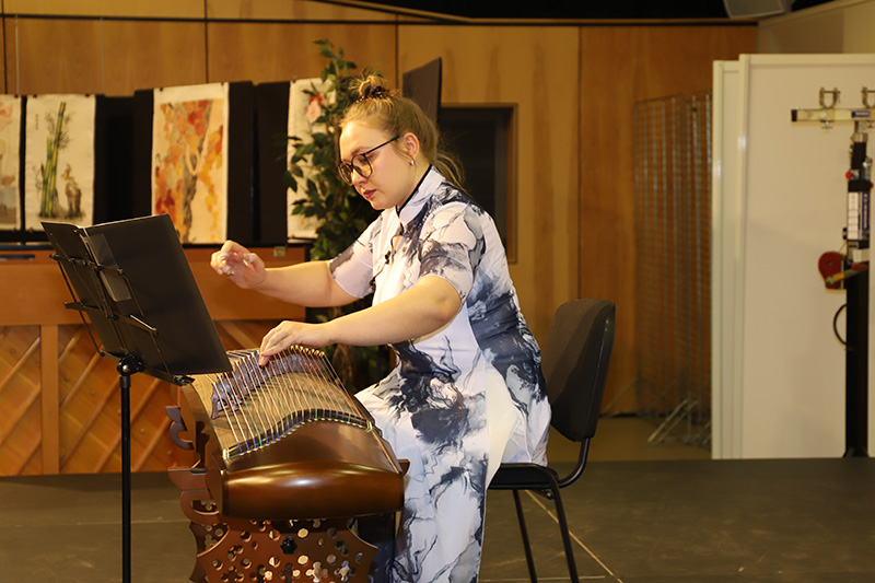 Nouvel An Chinois 2025 Spectacle