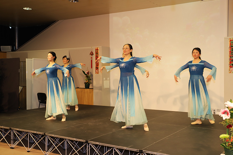 Nouvel An Chinois 2025 Spectacle