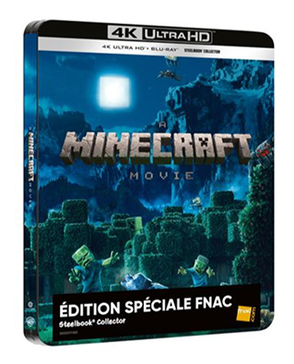 Minecraft