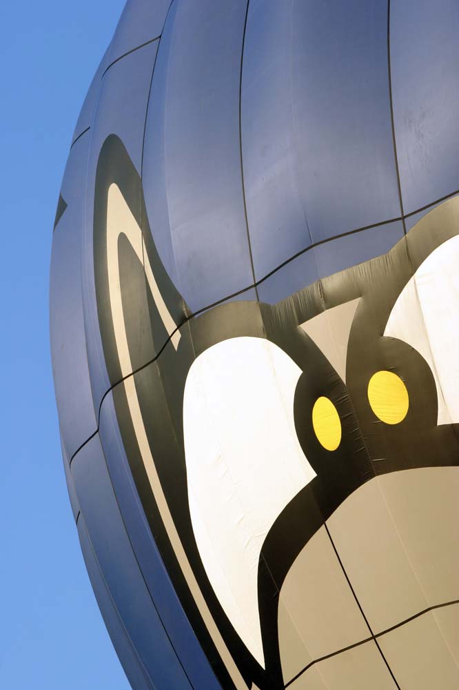 IMG_1834