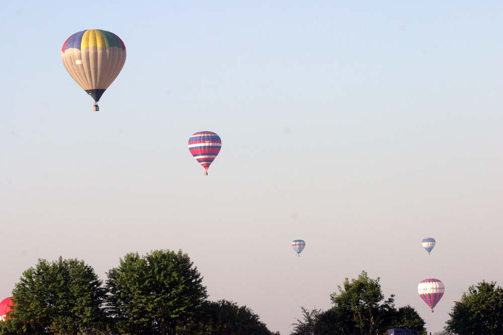 IMG_1865