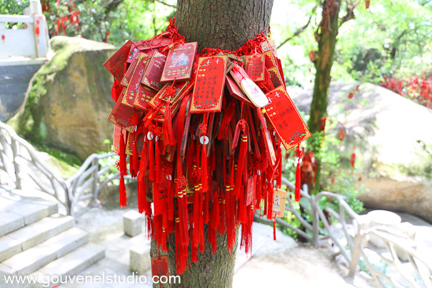 Montagne Feng Huang Shan - ShenZhen