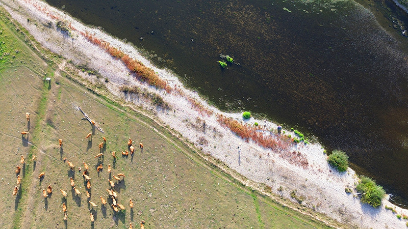 Photo aérienne par drone : Bainville-Aux-Miroirs